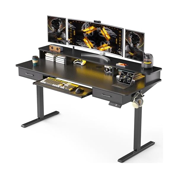 63×24 Inches Electric Standing Desk with Keyboard Tray, Height Adjustable Stand up Desk with 2 Drawers, Ergonomic Sit to Stand Desk with Storage Monitor Stand, Computer Table, Black