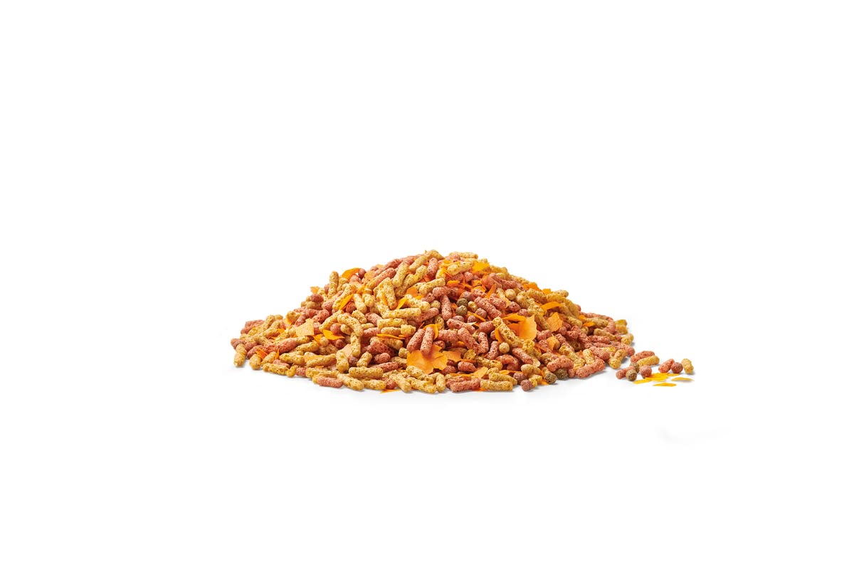 Dynamix Sticks Mix Plus Snack 20 l, Nourriture Poissons de Bassin, 2.52Kg