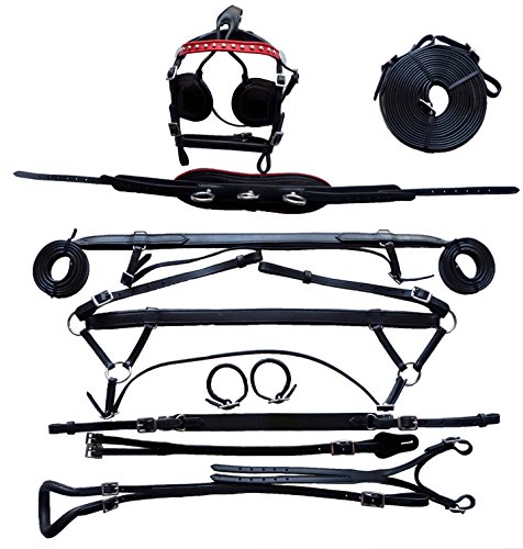 Equitem Black Economy Leather Small Mini Driving Cart Harness with Color Accent (Red Trim)
