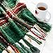 Quinnsus Christmas Throw Blanket | Soft Lightweight Green Plaid Christmas Throw Blankets | Faux Cashmere Checkered Blanket with Tassels for Christmas Home Decoration (50
