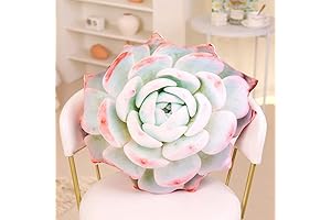Succulent Pillows - Plush 3D Cactus Throw Pillows for a Unique and Lively Home Decor