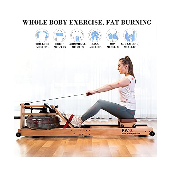 RW8 Plus Foldable Wood Water Rowing Machine with APP, Rowing Machine Water Resistance for Home Use with LCD Monitor, Wood Indoor Rower, Soft Seat