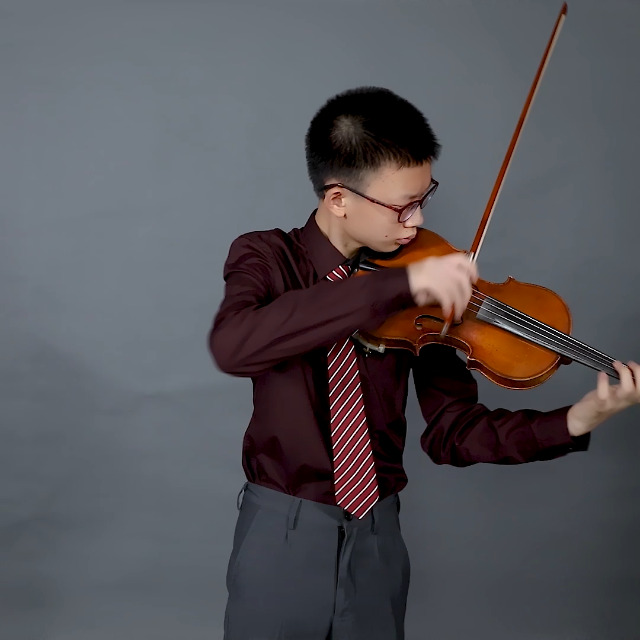 Archetto Per Violino "CV Selectio" (pernambuco) - Violins - Foto 3