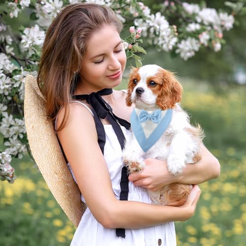 Hundesmoking, Hundehochzeit Bandana Kragen mit Fliege Kleine Hunde Hundesmoking Hundekostüme für kleine Hunde Hundeanzug Kostüm für Hunde Verlobung, Hochzeit, und Geburtstag (Hals:20-30cm/Blau)