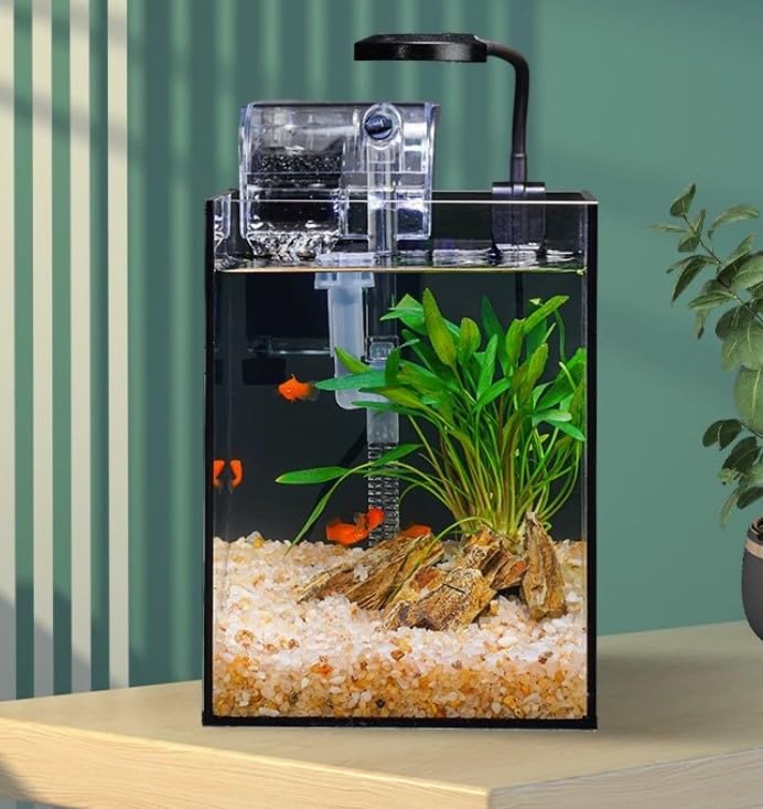 Amazon | 22cm キューブ ガラス 22×22×30cm リムレス アクアリウム
