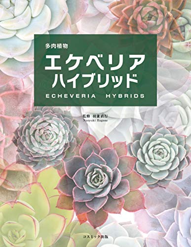 オライリー 無料電子書籍 多肉植物エケベリアハイブリッド バイ