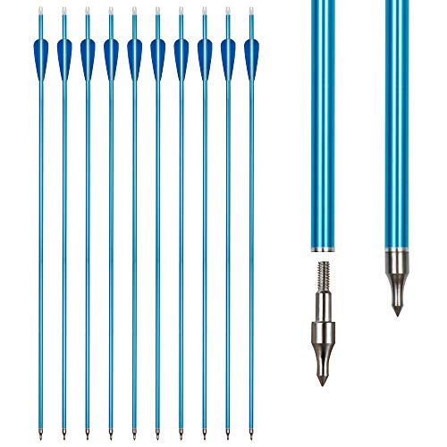 REAWOW 30 Inch Aluminum Arrow Hunting Target Practice Bow And Arrow For Compound Bow Recurve Bow Longbow (10 pcs)