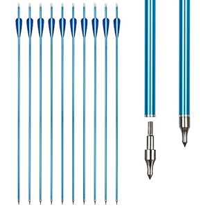 REAWOW 30 Inch Aluminum Arrow Hunting Target Practice Bow And Arrow For Compound Bow Recurve Bow Longbow (10 pcs)