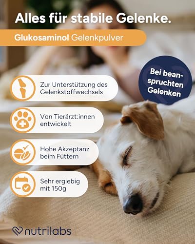 NutriLabs Glukosaminol® Kleintier Gelenkpulver für Hunde-Welpen 150 g - mit MSM, Artischocke, Glucosamin, UVM. - Hundewelpen Nahrungsergänzungsmittel - Gelenkgesundheit Welpen