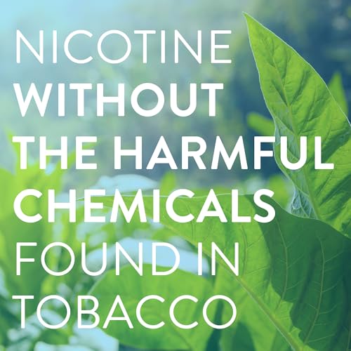 Image of Amazon Basic Care Nicotine Polacrilex Mini Lozenge, 4 mg (Nicotine), Stop Smoking Aid, Mint Flavor, 216 Count, 8 Pack of 27