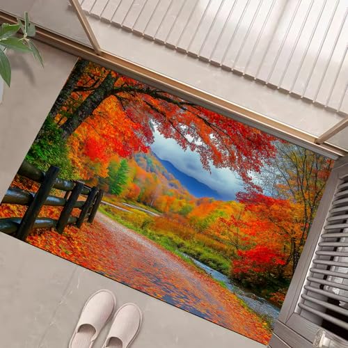 Tapis lavable résistant de qualité supérieure pour entrée de maison - 3