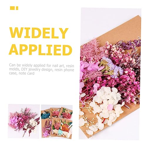Flores secas para manualidades ORFOFE 1 bolsa miniatura 6