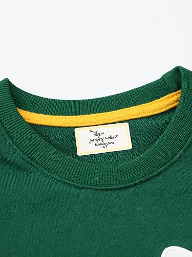 Boys Sweatshirts Casual Sweatshirts Cotton Sweatshirts Long Sleeve T-shirts Crew Neck Cartoon Tops for Boys-4633