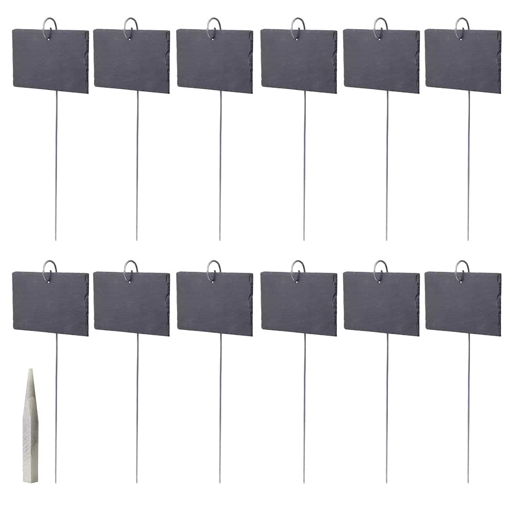 Amazon.co.jp: （なないろ館）園芸 ネームプレート 園芸ラベル 石の板