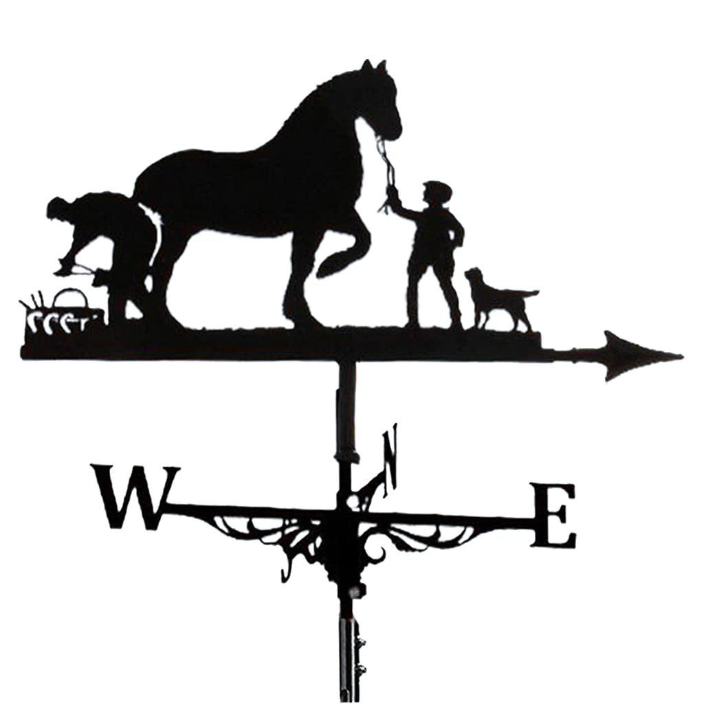 TAXXII Wind Direction Indicator,Weather vanes. Vane Weather Vain for Roof Vanes Roofs Weathervane -Horse 13.75x29.47 Inch