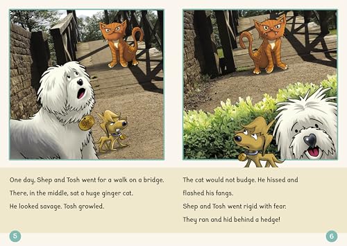 Phonic Books Dandelion Readers Further Spellings and Suffixes Level 4: (Alternative spellings for vowels and consonants, alternative sounds for the ... and 'g') (Phonic Books Beginner Decodable) - Image 3