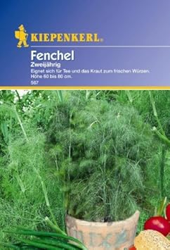 Kiepenkerl Fenchel Mehrjährig