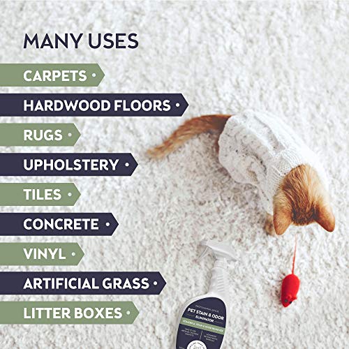 Melhor removedor de odor de urina para gatos com patas sorridentes, limpador profissional de enzimas