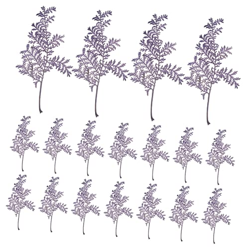 48 hojas secas naturales Artemisia para manualidades