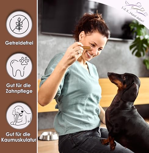 123... Hund dabei! - Kaurollen XXL 50er Tray (Pferd) - Dentalkaurolle - Getreidefrei - Vorteilspaket - Kaustangen für Hunde - Kausticks - Zahnpflege - Kaurollen für Hunde