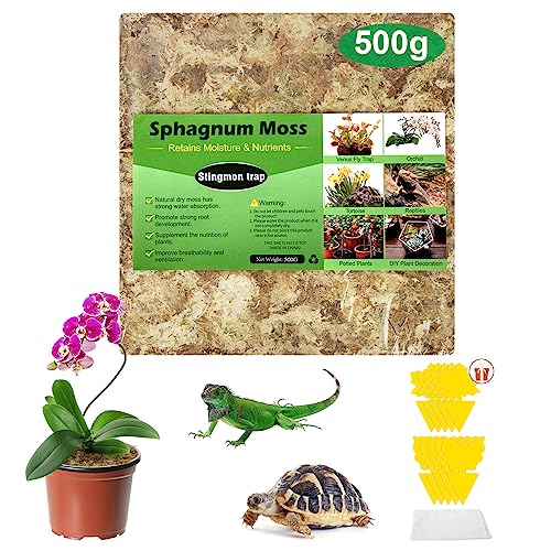 Stingmon Trap Musgo Sphagnum Tierra para Plantas Musgo Sphagnum Natural para Orquidea Musgo Vivo Sustrato Bonsai Sustrato Orquideas Sustrato Plantas 500g y Trampa Moscas Atrapa Mosquitos Mata Moscas
