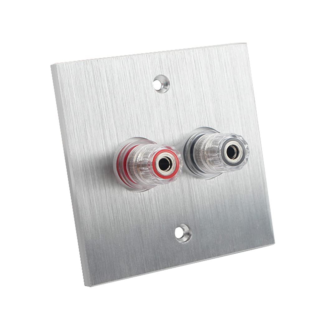 Hsioluted Rhodium-Plated Terminal + Panel Premium Banana Wall Plate God-Plated In Aluminum Alloy Connectors Banana Plug Binding Post Wall Plate Surrounding Sound Plates