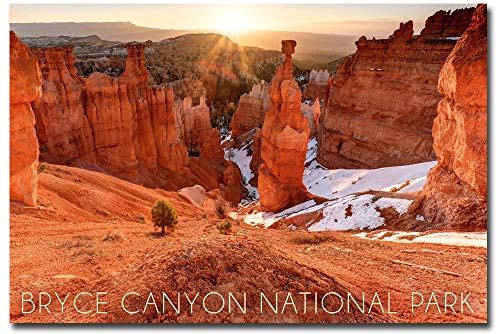 Imán de refrigerador Bryce Canyon 2.5" x 3.5" miniatura 1