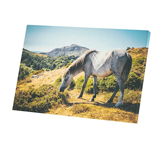 Tableau Décoratif Toile Imprimée Cheval Gris Poster Cadre Murale Prairie