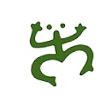 CRDesign Coqui Puerto Rico Taino Boricua Vinyl Decal Frog Car SUV Truck Auto Decal Sticker Boriken Borinquen (4