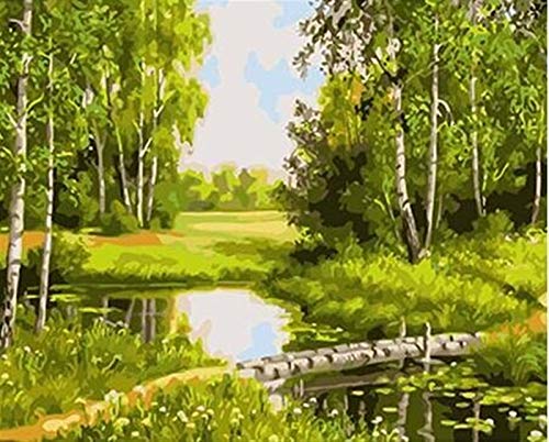 Peinture numérique non framed DIY peinture par chiffres Paysage Kit acrylique peinture acrylique sur toile Moderne Art Art Art par Numéros for salon ( Color : SZGD3884 , Size(cm) : 50x40cm no frame )