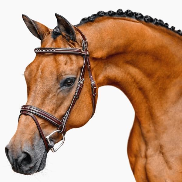 Premium Havana Fancy Stitch Bridle with Removable Flash – Anatomical Padded Crown, Classic Hunter Style