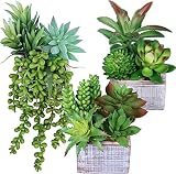 Set of 3 Small Potted Succulents Plants Arrangement Decoration Assorted Green Fake Succulents Plants
