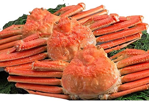 {YCKjipj 900gO v~A YCKj\ yVzJj ⓀI YCKj 킢 킢I VAY kCH {C Ⓚ  Jj I JjX  CN yY kC (65400gO)