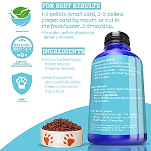   Bad-Breath-for-Cats-Pellets-Dissolvable-No-Brushing-for-Clean-Teeth-Plaque-Tartar-Control-All-Natural-Non-GMO-Organic-Preservative-Chemical-Free-300-ct