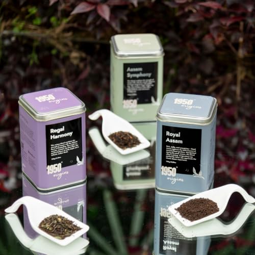 Image of 1950 Origins Premium Assam & Darjeeling Black Tea Combo Pack of 3 Tin Caddies (3 x 150g) | Symphony, Royal Assam & Regal Harmony | 100% Natural Long Leaf Loose Tea | Rich, Strong & Fresh Flavor