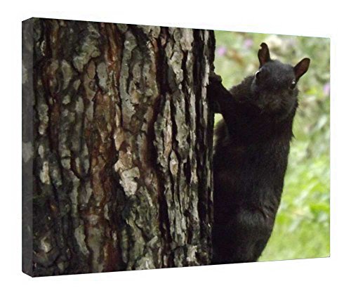 Impression sur toile avec cadre en bois Hiya tableau mural déco 40x50cm