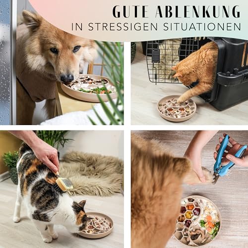 ne&no® Anti Schling Napf für Hunde und Katzen I Slow Feeder I Leckmatte Hund mit großem Saugnapf I Schleckmatte Katze für Nassfutter und Trockenfutter (Taupe)