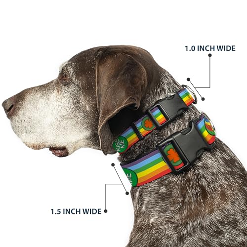 Collar de arcoíris con clip plástico Buckle Down ajustable para perros pequeños 3