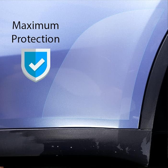 Buy TESBROS Tesla Model Y Rear Door Paint Protection Film Kit Fits