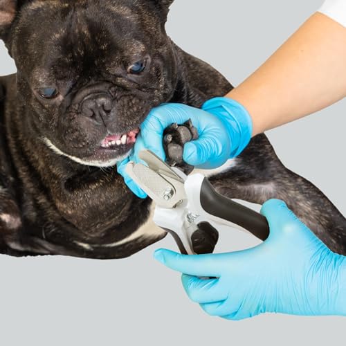 TwoEar Dog Nail Clippers with Light, Dog Nail Trimmers with Quick Sensor & Safety Guard, Razor Sharp Blade, LED Pet Nail Clippers/Dog Toenail Clippers for Medium Large Dogs, Black - Thumbnail 6