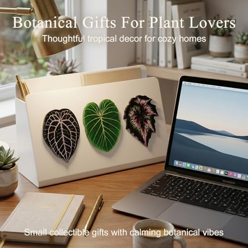 Set de 3 Imanes Decorativos en Forma de Hoja miniatura 2