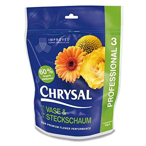 Chrysal Clair Professional 3 Vase & Mousse Florale - 2 KG