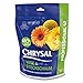 Produktbild Chrysal Klar Professional 3 Vase & Steckschaum - 2 kg