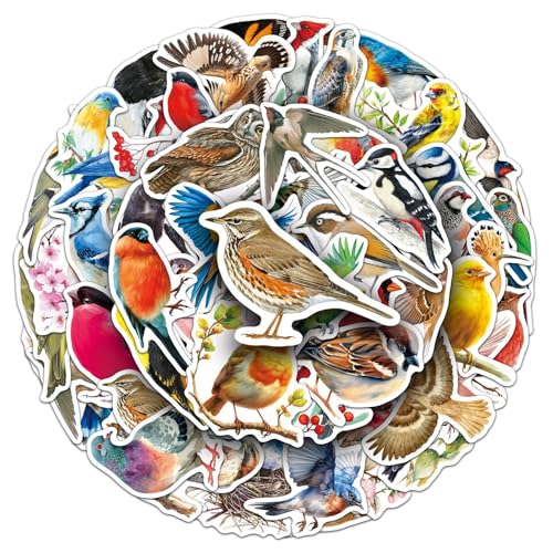 50Pcs Bird Stickers Including Common and Rare Species Suitable for Nature Diaries Bird Watching Records Study Notes Travel Accounts and Students Education Materials (Bird)