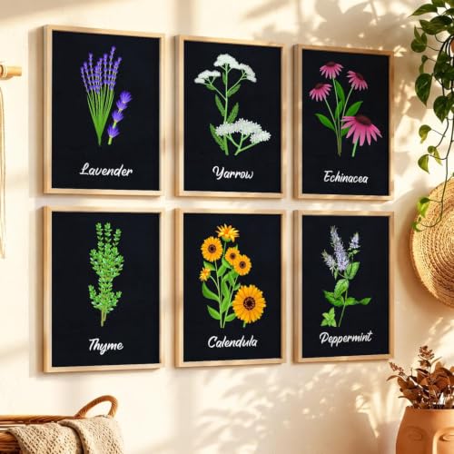 Image of kotart Boho Theme Digital Painting for Wall Decoration - Minimal Wall Art Prints for Living Room Bedroom Office Room Decor (10x13 inch, Terracotta) (wall painting, 01) (E, 19X25 INCH)