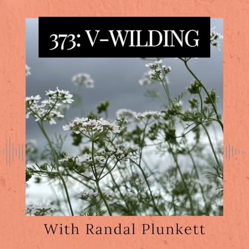Episode 373: V-Wilding