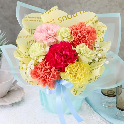【母の日ギフト】 ベルーナ 母の日 そのまま飾れる 花束 (ミックス / 縦23cm × 横18cm / メッセージカード付き) カーネーション 花 カラーブーケ ギフト プレゼント 【2026年05月06日(水) - 05月10日(日)】お届け