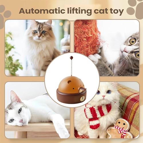 Jeu électronique interactif pour chaton pour renforcer votre complicité et son bonheur - 5