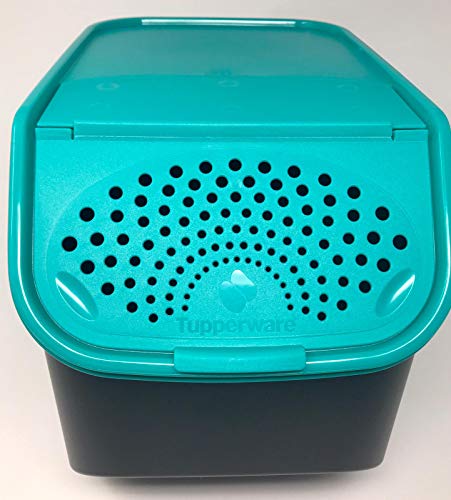 TUPPERWARE BOÎTE POMME EUR 5,00 - PicClick FR