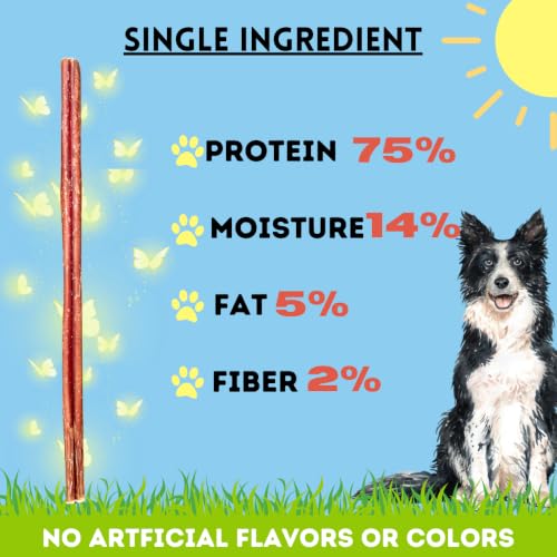 Image of BULLYSTICKS & MORE 12 Inch Bully Sticks (Thin- 15 Pack) | Bully Sticks for Medium Dogs | 100% Grass Fed Beef | Dog Parents Choice Bully Stick Dog Chews | No Hide Bully Bones
